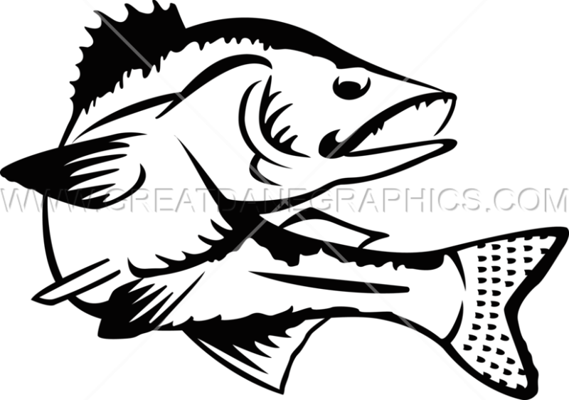 800x562 pike fish graphic black and white download - Pickerel Drawing