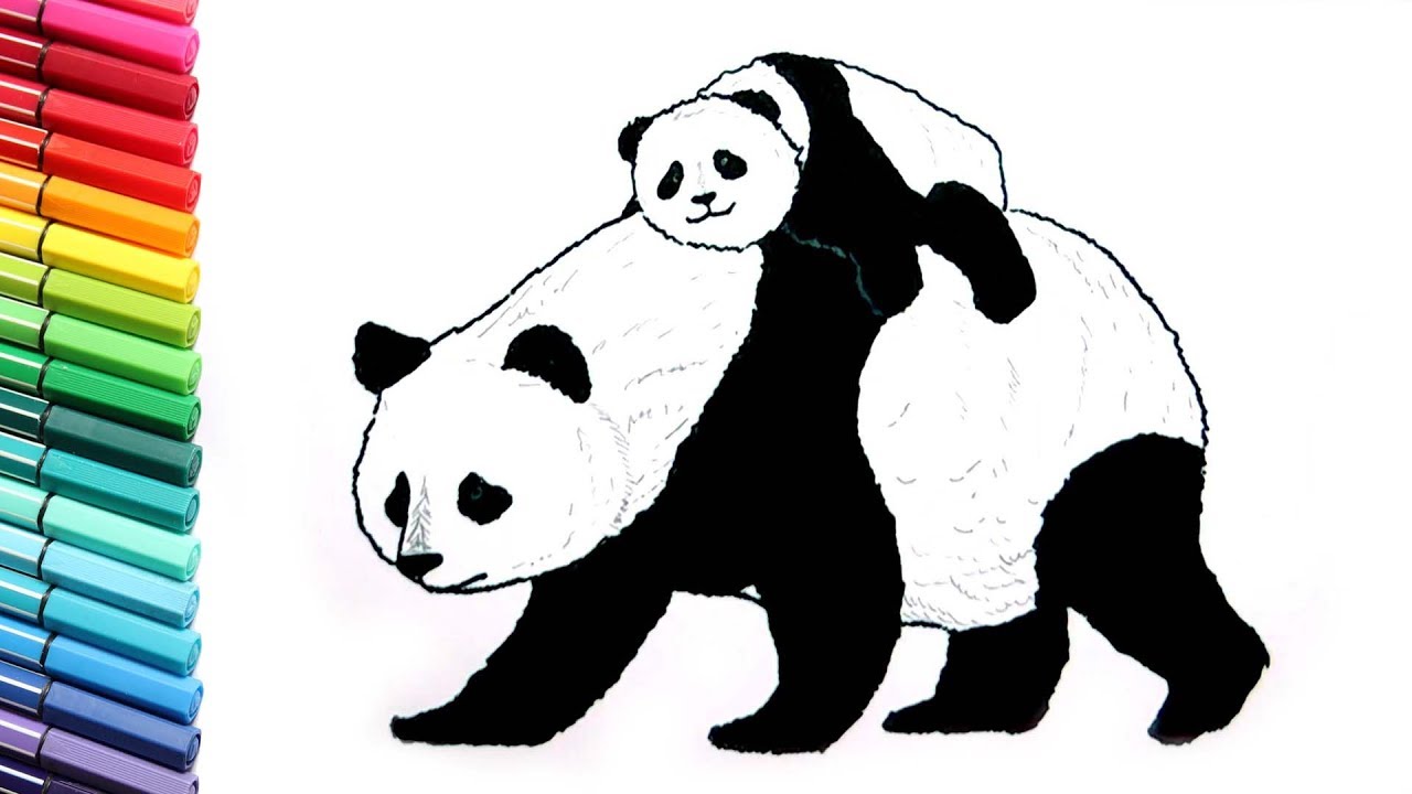 1280x720 Drawing And Coloring Panda - Pics Of Animals Drawing