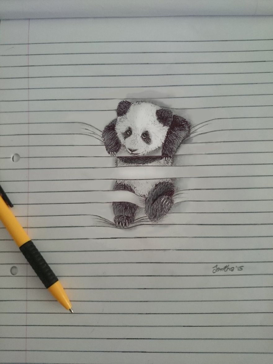 880x1173 i draw animals that don't want to stay between the lines bored panda - Pics Of Animals Drawing