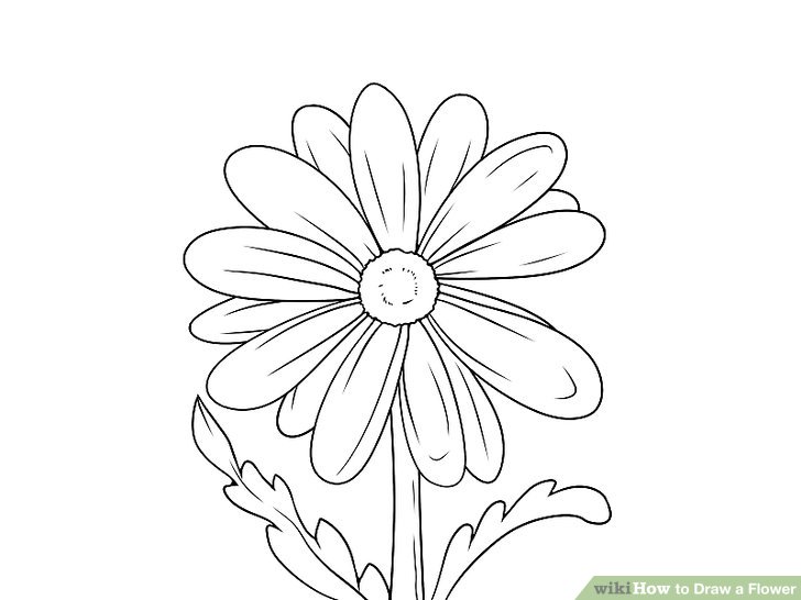 728x546 Flowers Drawing Clip Art - Pics Of Flowers Drawing
