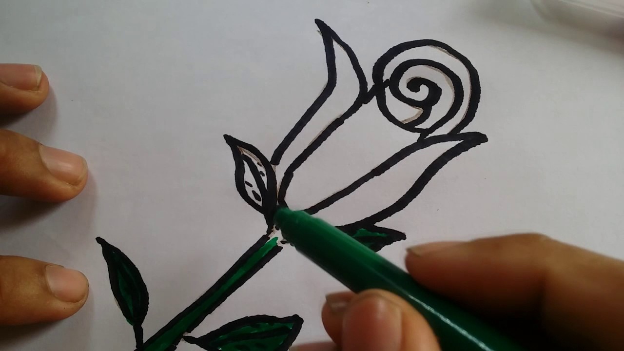 1280x720 How To Draw Step - Pics Of Flowers Drawing