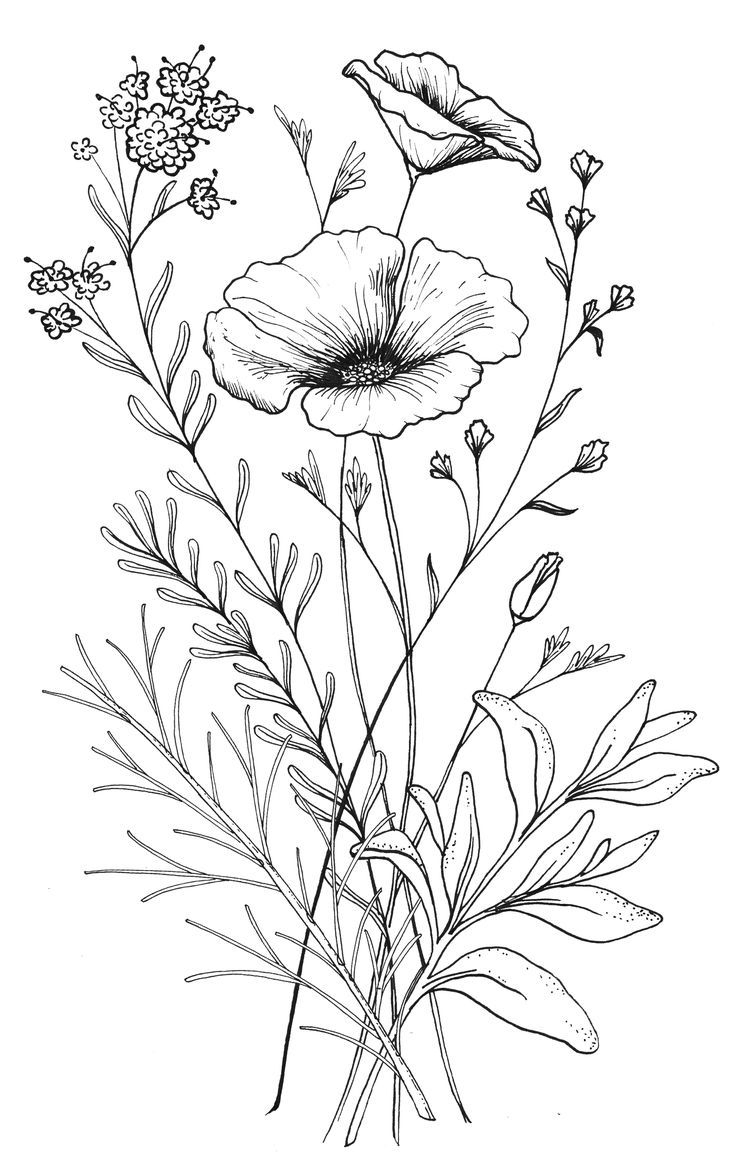 736x1163 Tumblr Flower Sketches Bouquet Of Flowers Drawing Tumblr Drawings - Pics Of Flowers Drawing