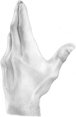 256x393 how to draw hands part beyond structure rapidfireart - Picture Of A Hand Drawing