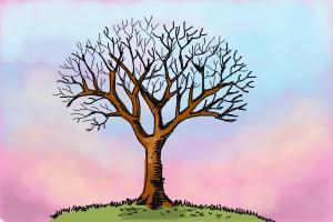 300x200 How To Draw A Tree Without Leaves - Picture Of A Tree Drawing