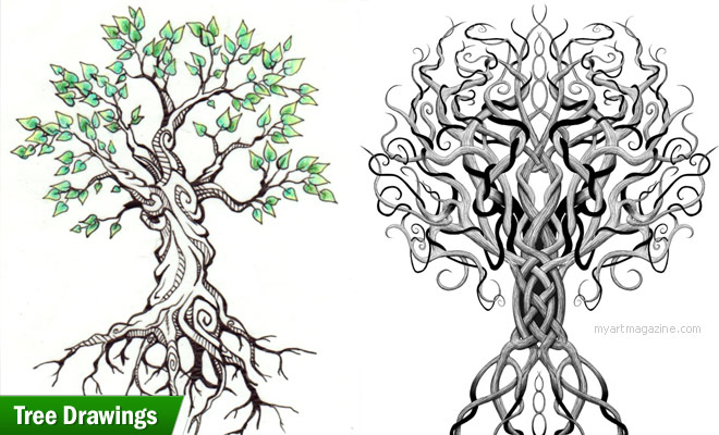 660x400 beautiful tree drawing examples from around the world - Picture Of A Tree Drawing