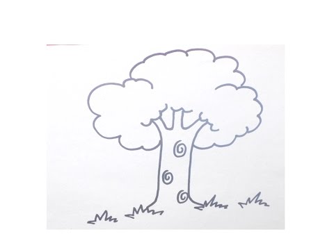 480x360 Easy Drawing Tutorialhow To Draw Tree For Beginners { Tree - Picture Of A Tree Drawing