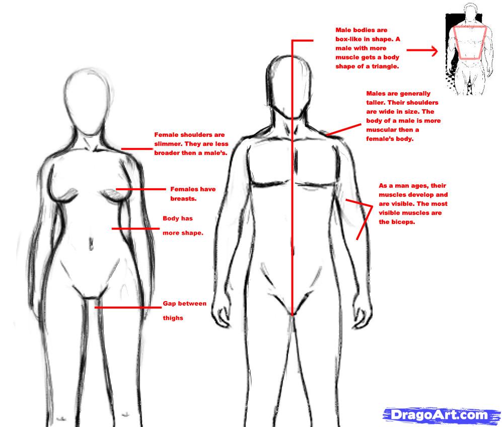 997x848 How To Draw Realistic People, Draw Real People, Step - Picture Of Person Drawing