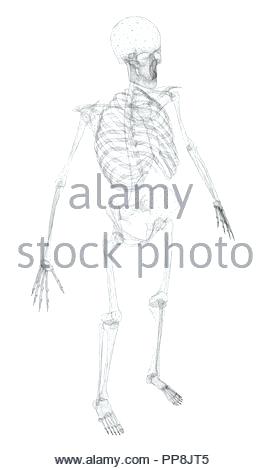 270x470 outline of person photo endowment for international peace outline - Picture Of Person Drawing