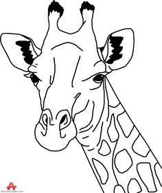 236x281 Line Drawing Of A Giraffe - Picture To Line Drawing