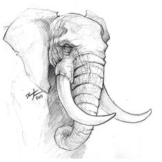 236x236 Best Animal Drawings Images In Drawing Techniques - Pictures Of Animals Drawing