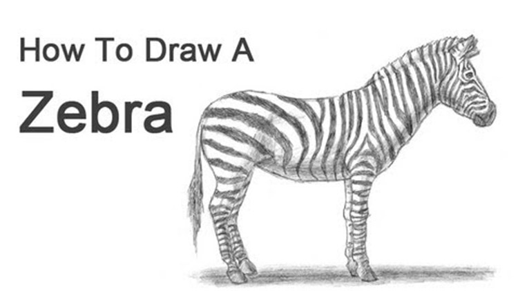 750x422 how to draw animals free tutorial videos to help you learn - Pictures Of Animals Drawing