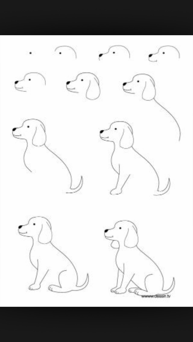 640x1136 Ways To Draw Animals - Pictures Of Animals Drawing