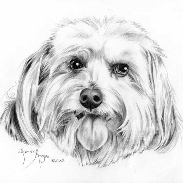 600x600 how to draw a dog's tongue, how to draw pets, drawing dogs, online - Pictures Of Dogs Drawing
