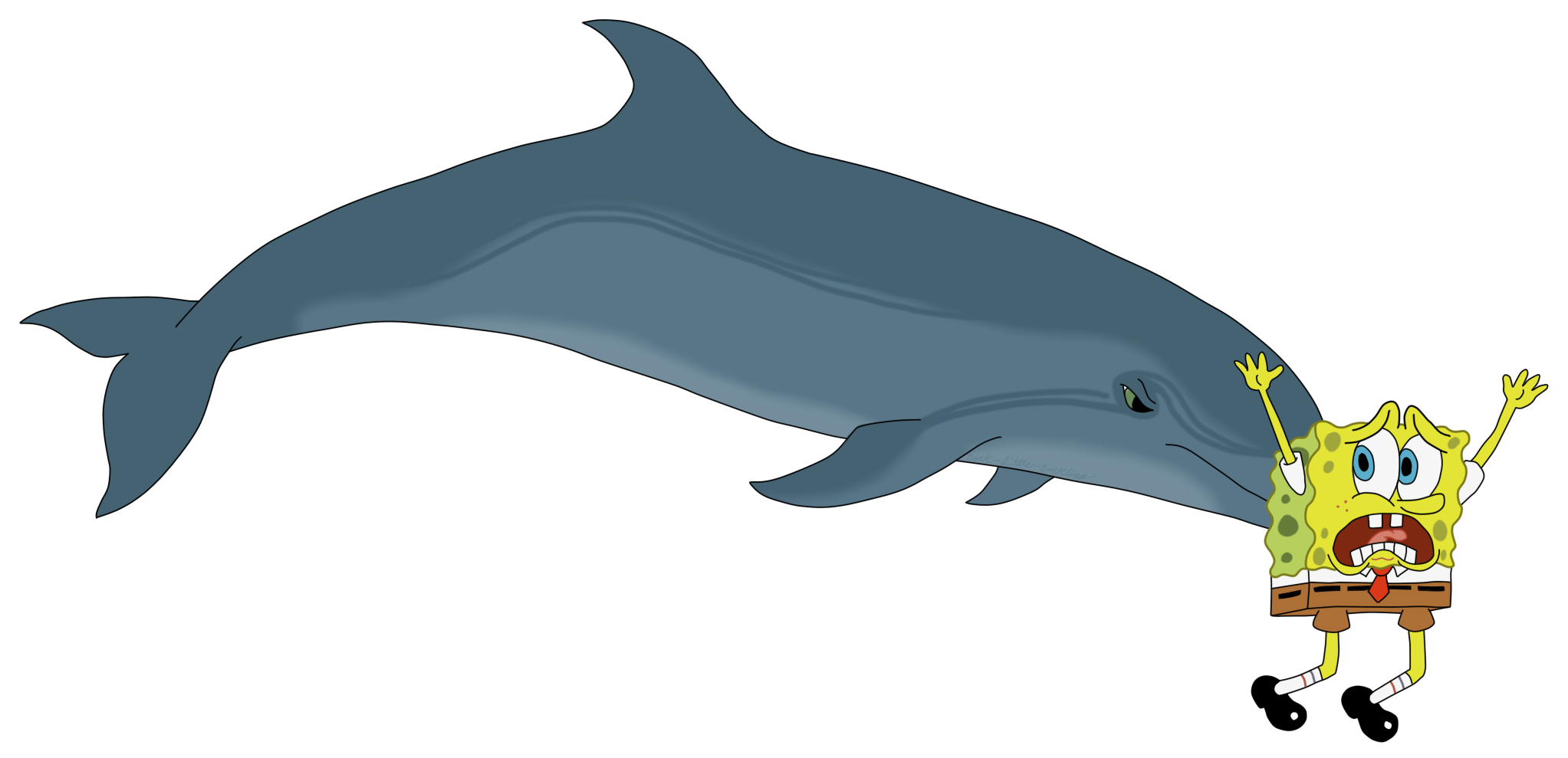 2045x989 dolphins drawing free download on unixtitan - Pictures Of Dolphins Drawing
