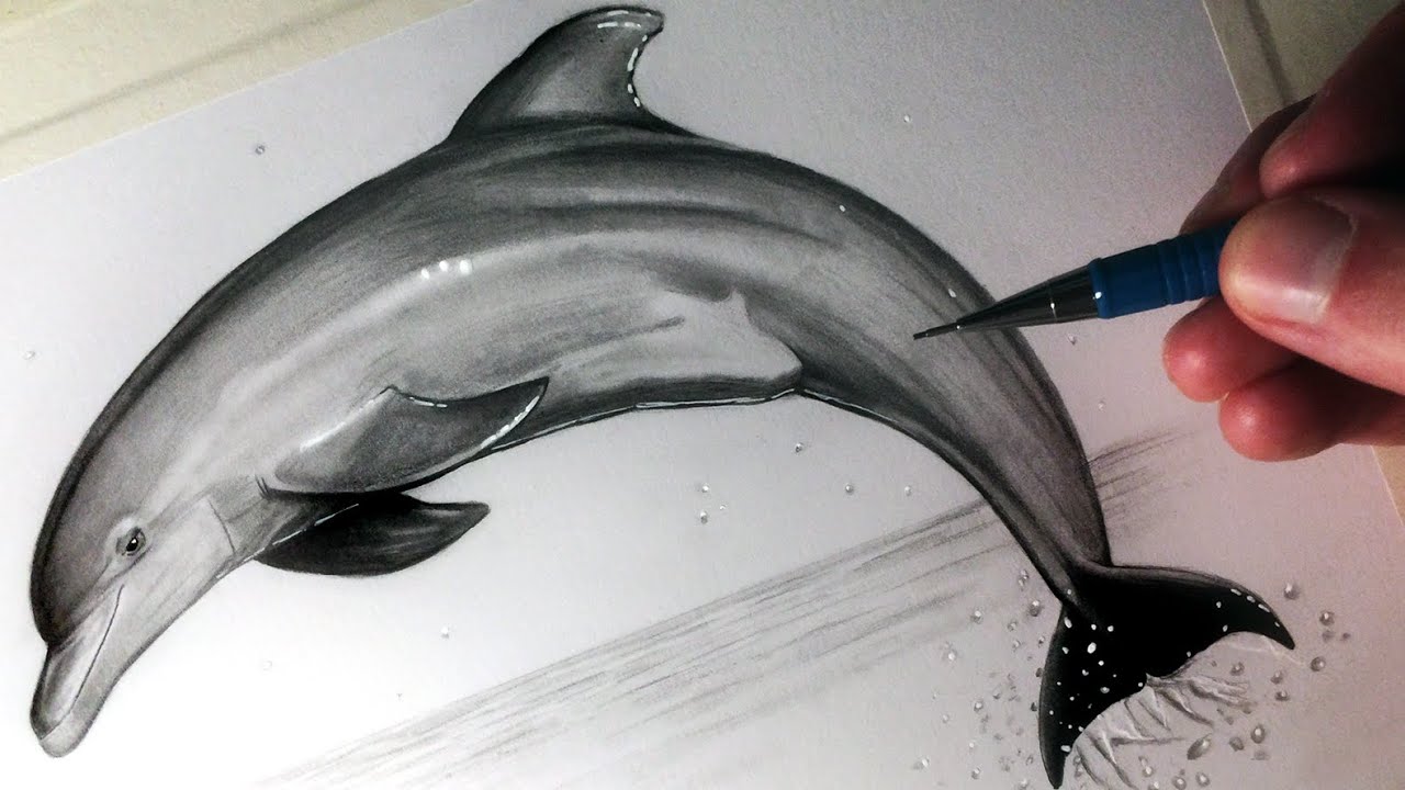 1280x720 how to draw a dolphin - Pictures Of Dolphins Drawing
