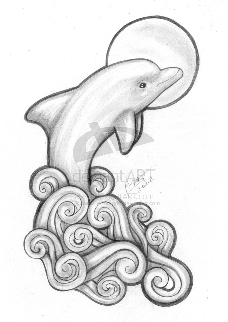 800x1130 dolphin design drawings golfinho dolphin - Pictures Of Dolphins Drawing