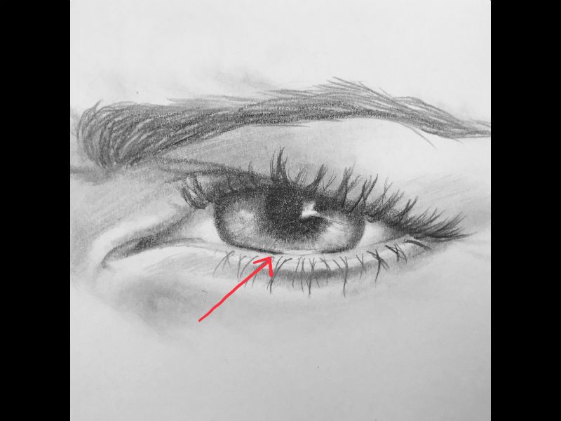 800x600 common mistakes when drawing eyes - Pictures Of Eyes Drawing