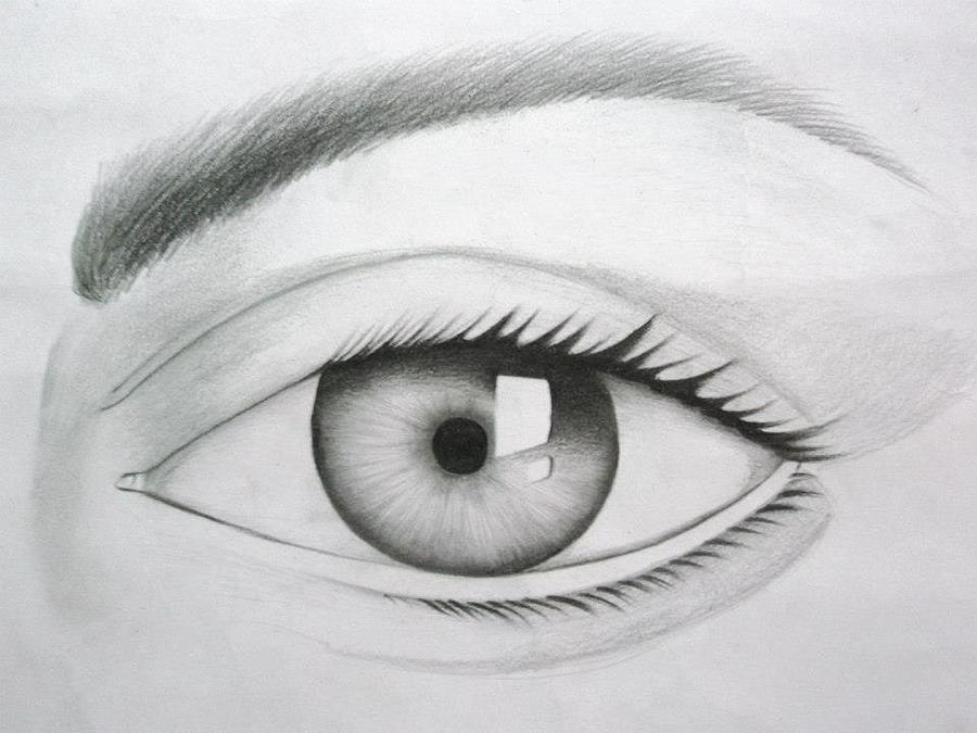 900x675 Donate Your Eyes Drawing - Pictures Of Eyes Drawing