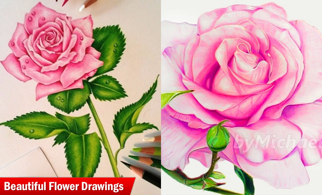 Pictures Of Flowers Drawing