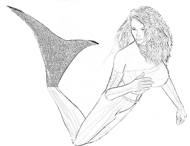 390x300 drawings of mermaids - Pictures Of Mermaids Drawing