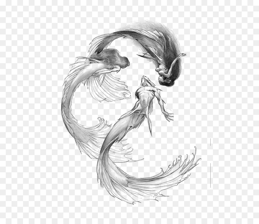 900x780 mermaid drawing siren sketch mermaid png download free - Pictures Of Mermaids Drawing