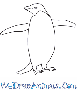 300x350 How To Draw An Adelie Penguin - Pictures Of Penguins Drawing