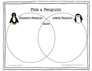 350x271 penguin directed drawing and learn about penguins freebie pack tpt - Pictures Of Penguins Drawing