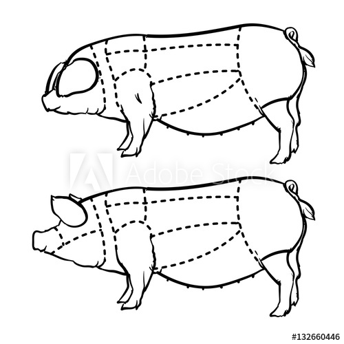 500x500 hand drawn outline pig diagram, butcher diagram drawing vector - Pig Butcher Drawing