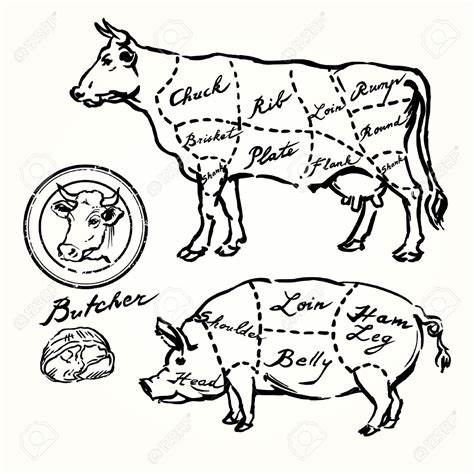 474x474 Pig Butcher Drawing Gtgt - Pig Butcher Drawing