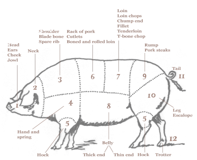 640x520 pork drawing pig butcher transparent png clipart free download - Pig Butcher Drawing