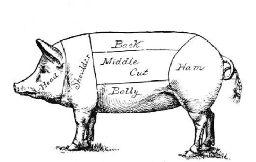 500x316 butcher illustrations i love pig drawing, pig illustration - Pig Butcher Drawing