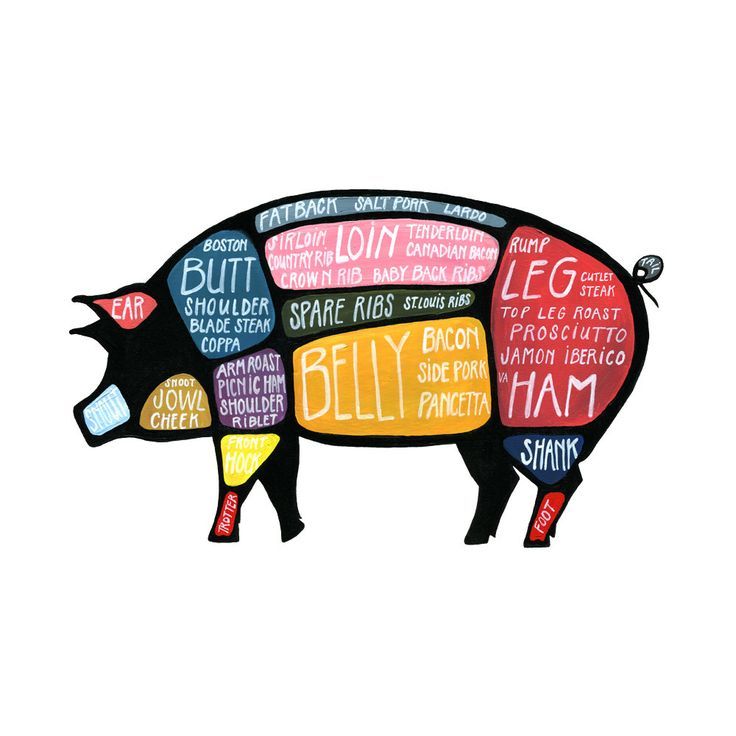 736x736 Cow Butcher Drawing - Pig Butcher Drawing