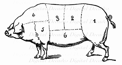500x270 Awesome Pig Butcher Diagram - Pig Butcher Drawing