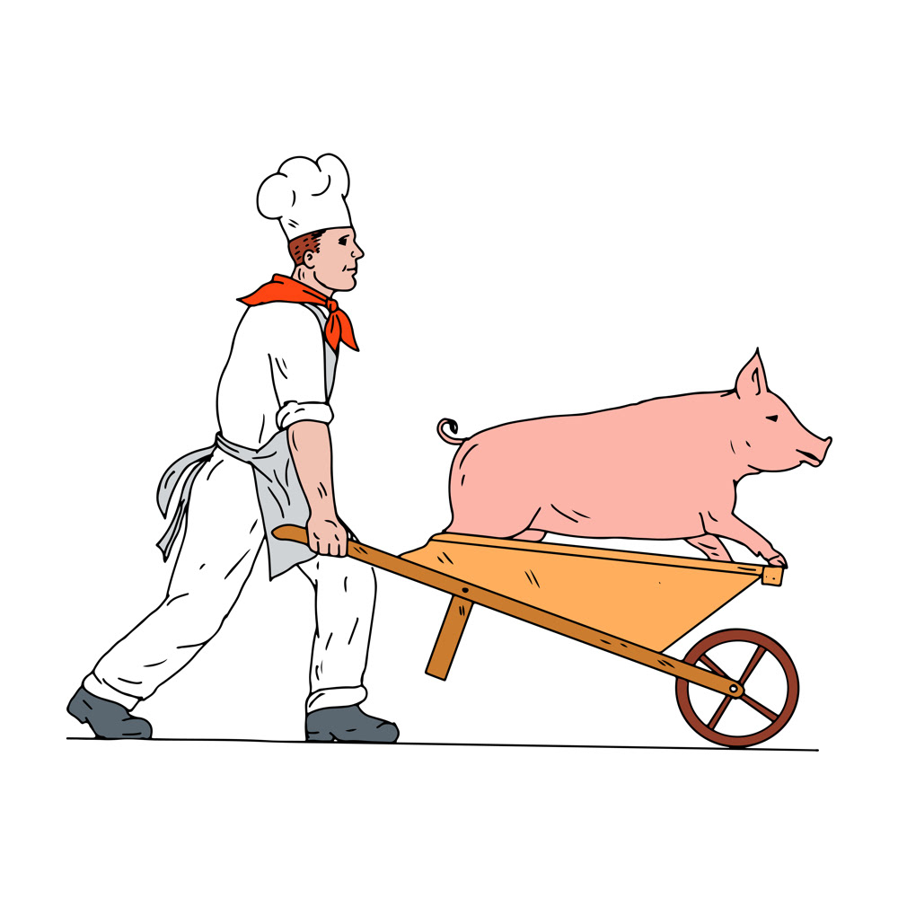 1000x1000 Chef Pushing Wheelbarrow And Pig Color Drawing On Behance - Pig Butcher Drawing