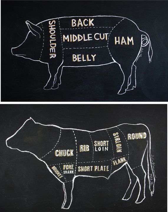 570x720 Cow And Pig Butcher Chart Chalkboard Drawing - Pig Butcher Drawing