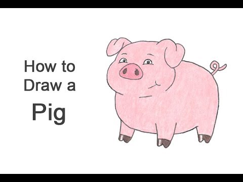 480x360 How To Draw A Pig - Pig Cartoon Drawing