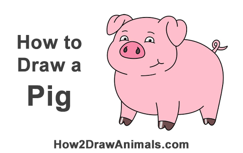 500x315 How To Draw A Pig - Pig Cartoon Drawing