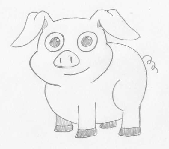 564x497 How To Create A Pig Picture - Pig Drawing