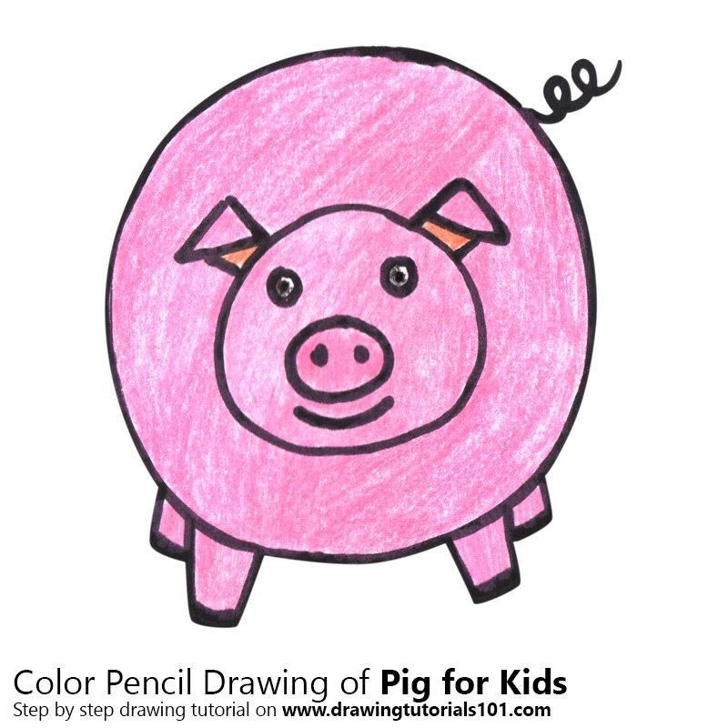 800x800 Learn How To Draw A Pig For Kids Easy - Pig Drawing