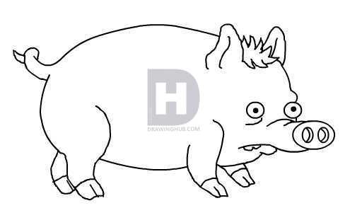 495x294 How To Draw Spider Pig, Step - Pig Drawing Images