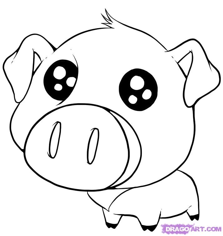 714x755 How To Draw A Cute Pig, Step - Pig Drawing Images