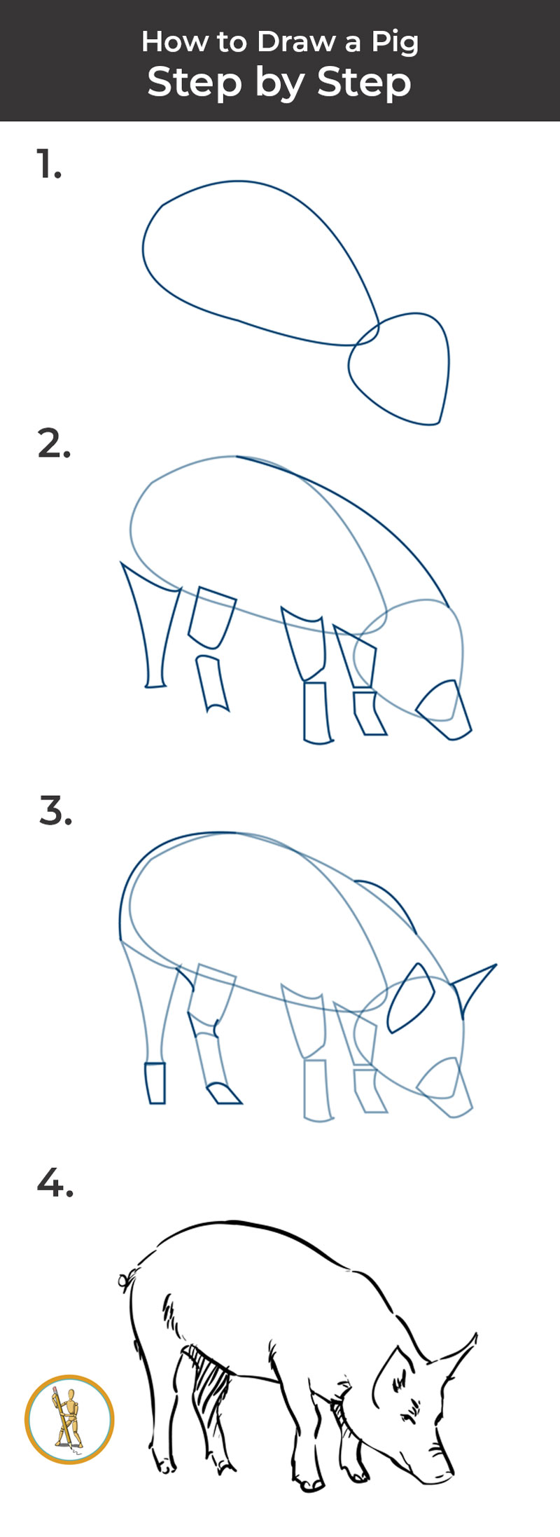 800x2194 How To Draw A Pig - Pig Drawing Images