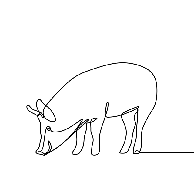 640x640 one line drawing of pig vector minimal lineart, black, graphic - Pig Drawing Images