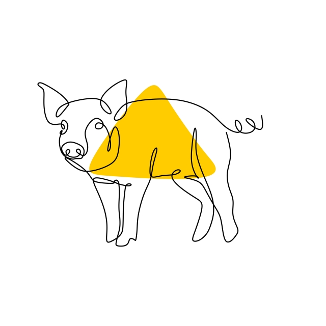 640x640 one line drawing of pig vector simple continuous lineart style - Pig Drawing Images
