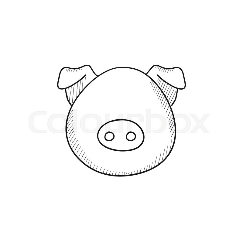 800x800 Pig Head Vector Sketch Icon Isolated Stock Vector Colourbox - Pig Drawing Images
