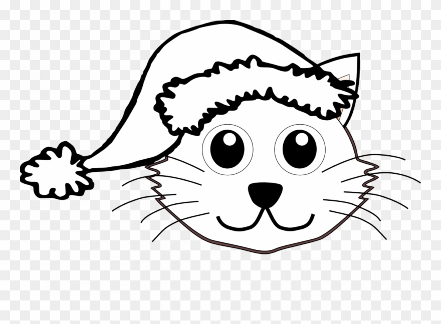 880x647 Large Size Of How To Draw A Realistic Pig Face Guinea - Pig Face Drawing