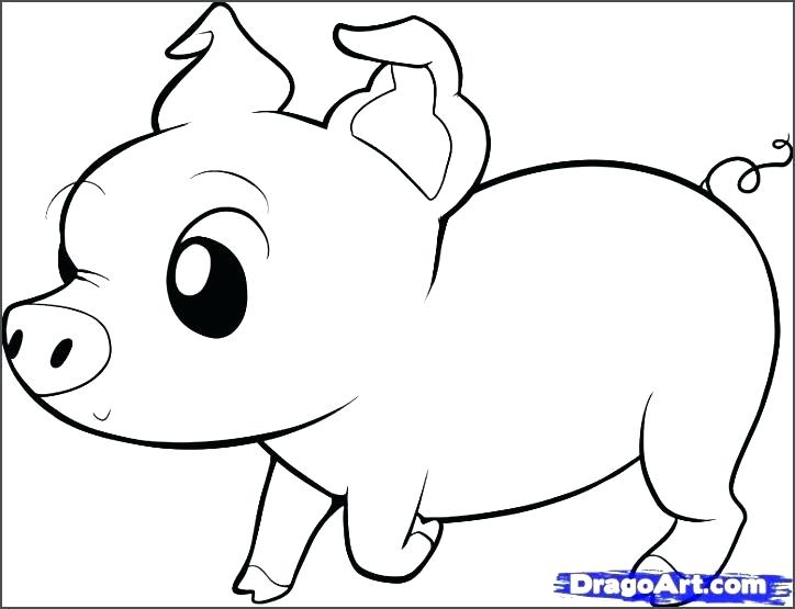 724x555 Pig Face Coloring - Pig Face Drawing