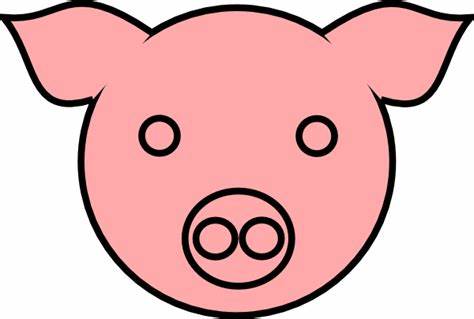474x319 Pig Face Drawing Fiegrades Drawing - Pig Face Drawing