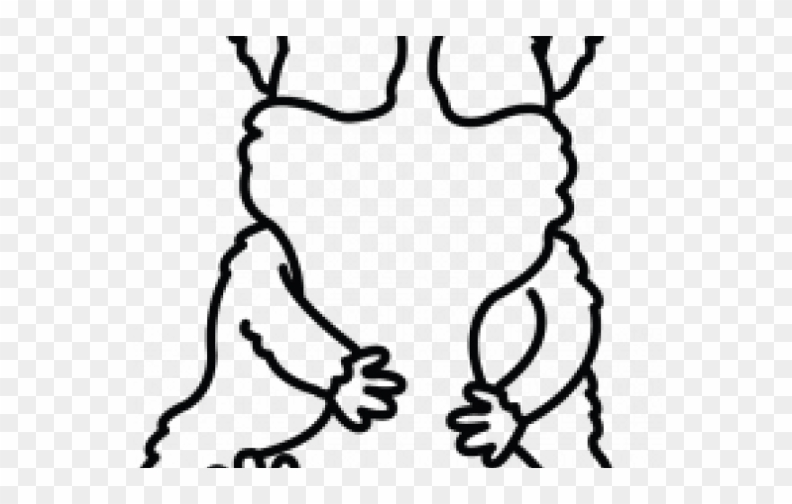 880x560 Guinea Pig Clipart Line Drawing - Pig Line Drawing