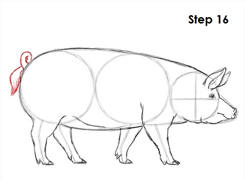 500x386 How To Draw A Pig - Pig Line Drawing